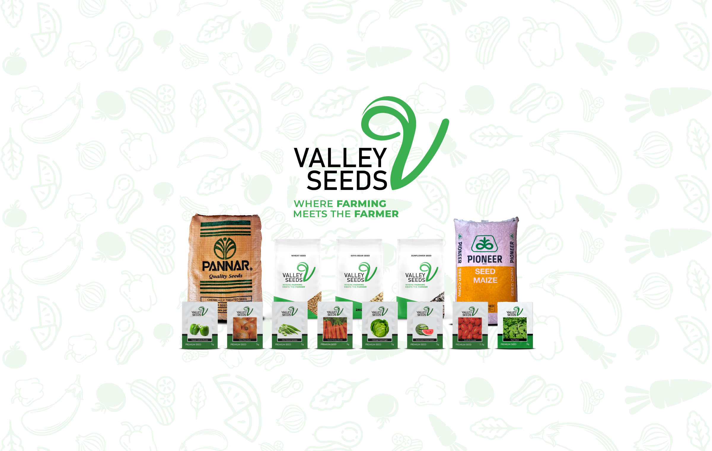 An image of Pannar 53 maize crop.