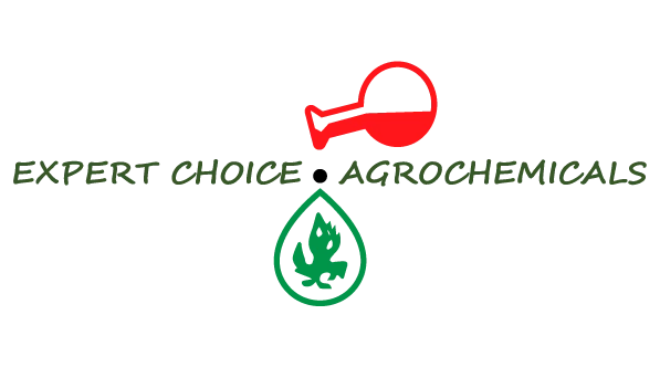 Expert Choice Logo.