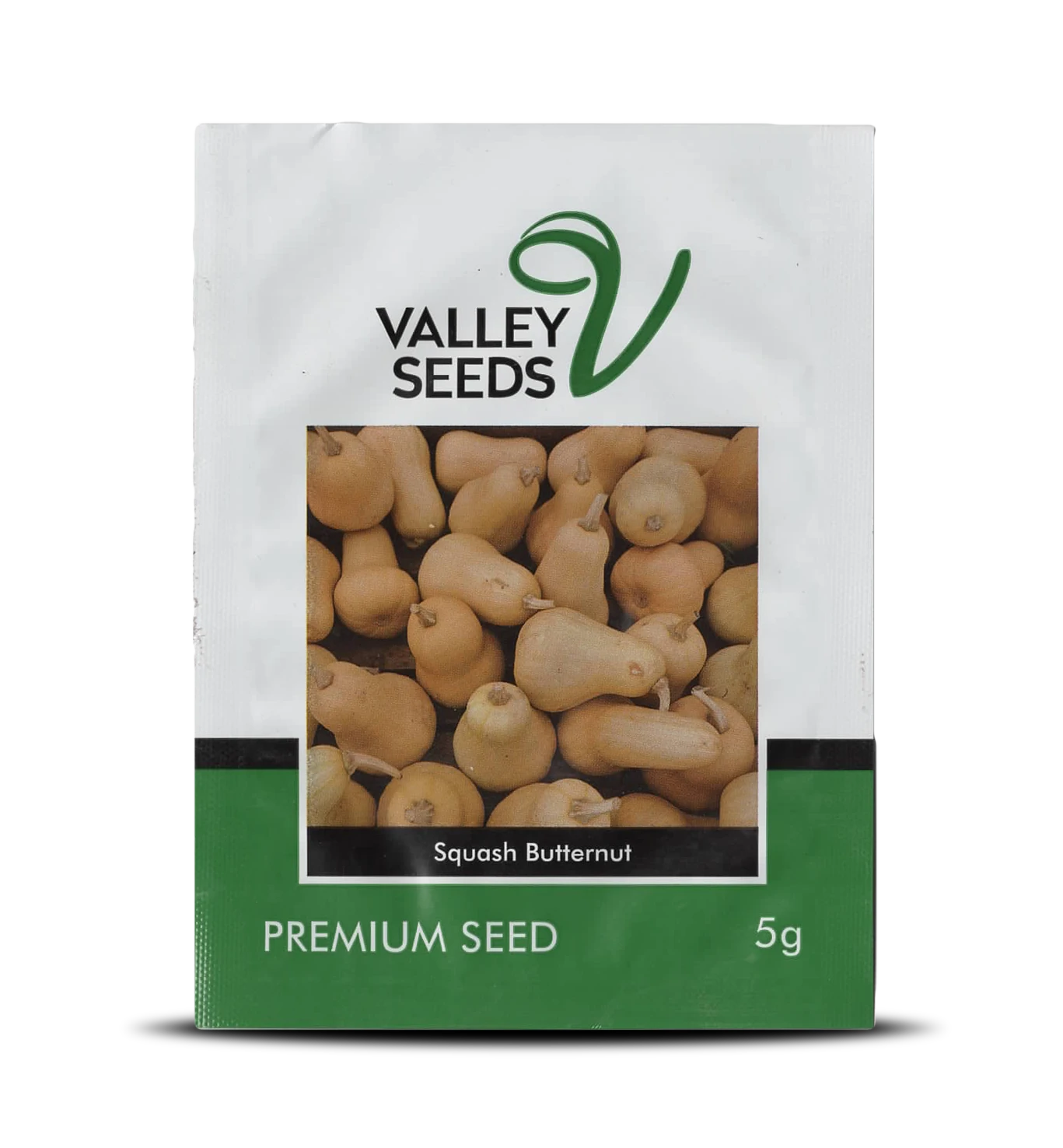 Butternut / Squash Image.