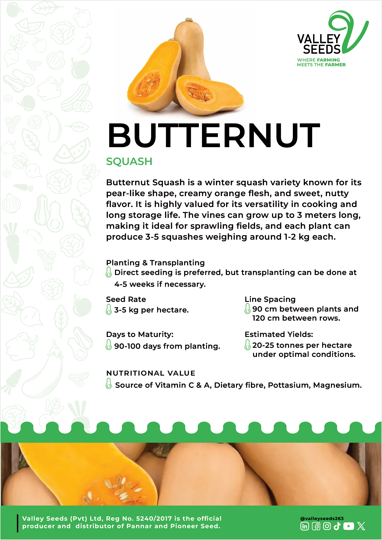 Butternut Flier Image.