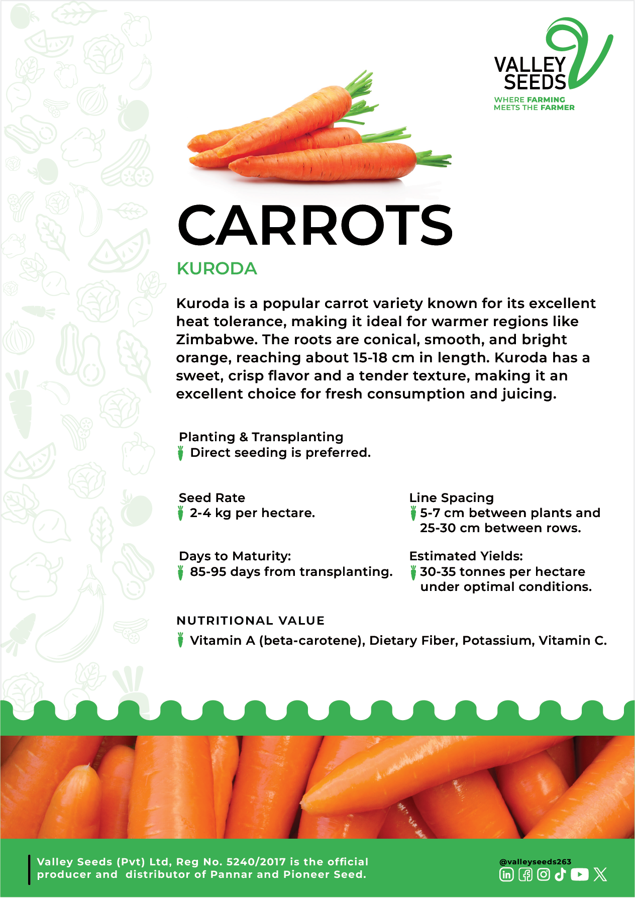 Carrot Kuroda Flier Image.