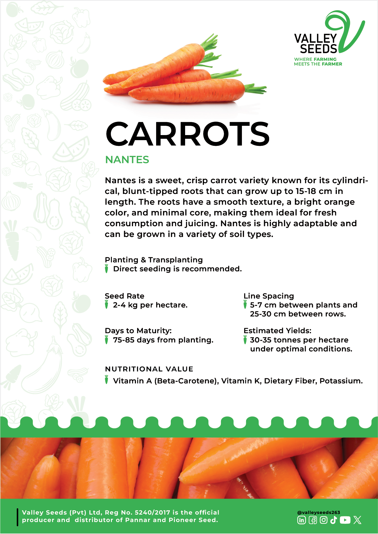 Carrot Nantes Flier Image.
