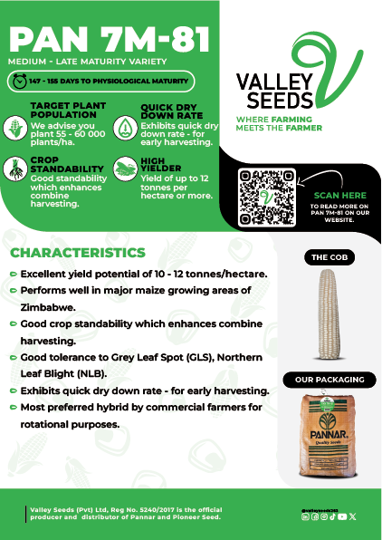 PAN 7M-81 Flier Image.