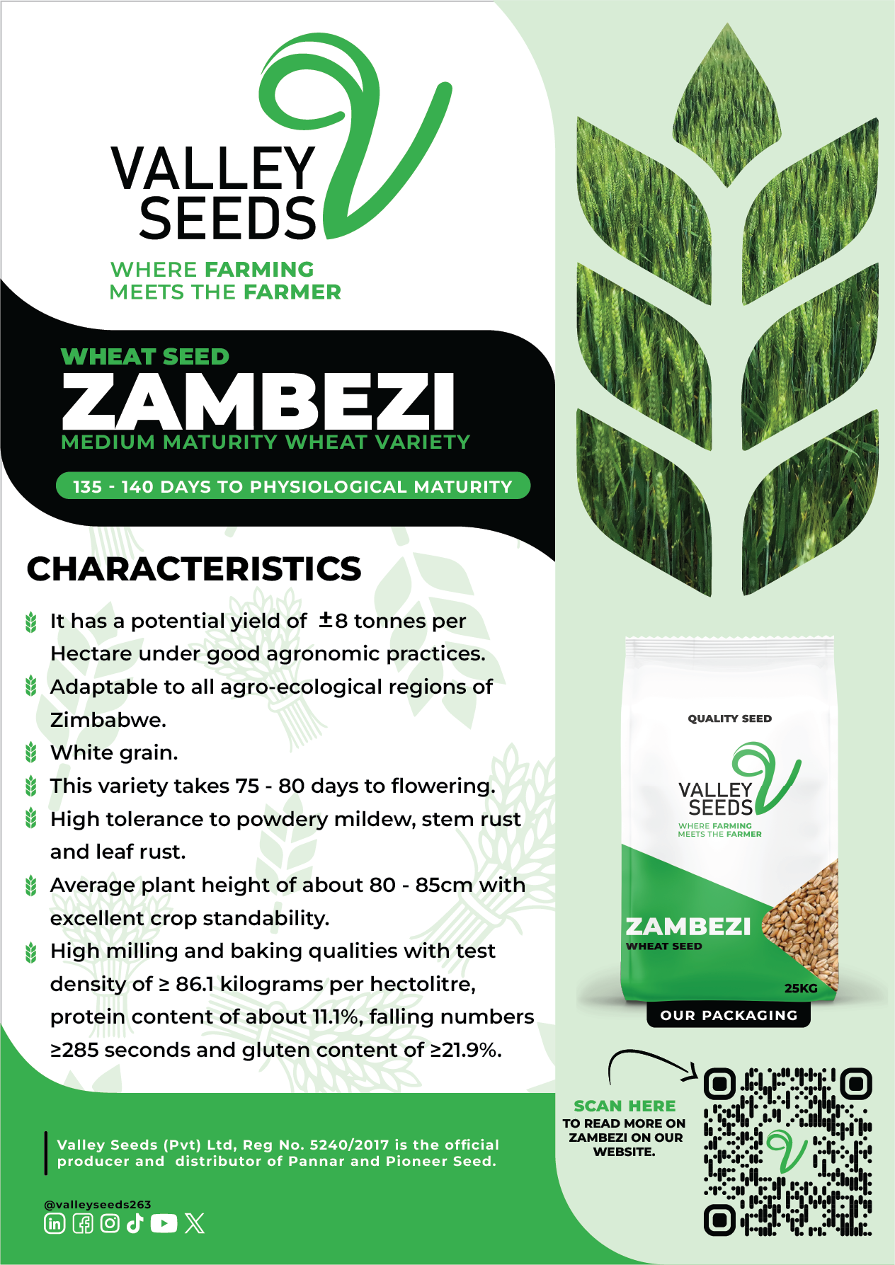 Zambezi Flier Image.