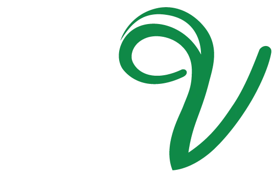 Valley Seeds Logo